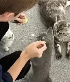 玩家1205330473953640448