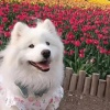 玩家1388669992994045952