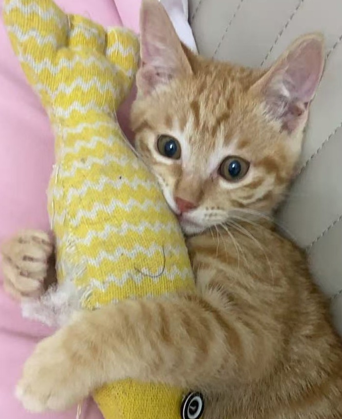 下单马上给老板安排