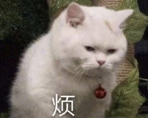 我来截胡了