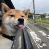 九九九九