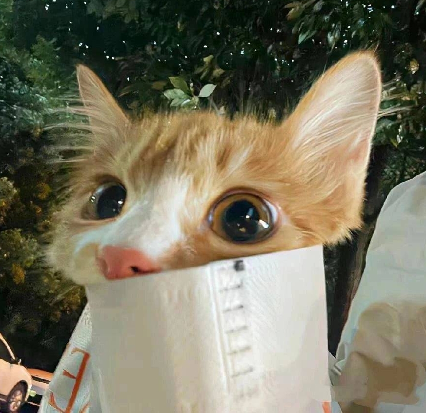 滴滴极速发