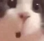 哥你不是说买了必涨吗