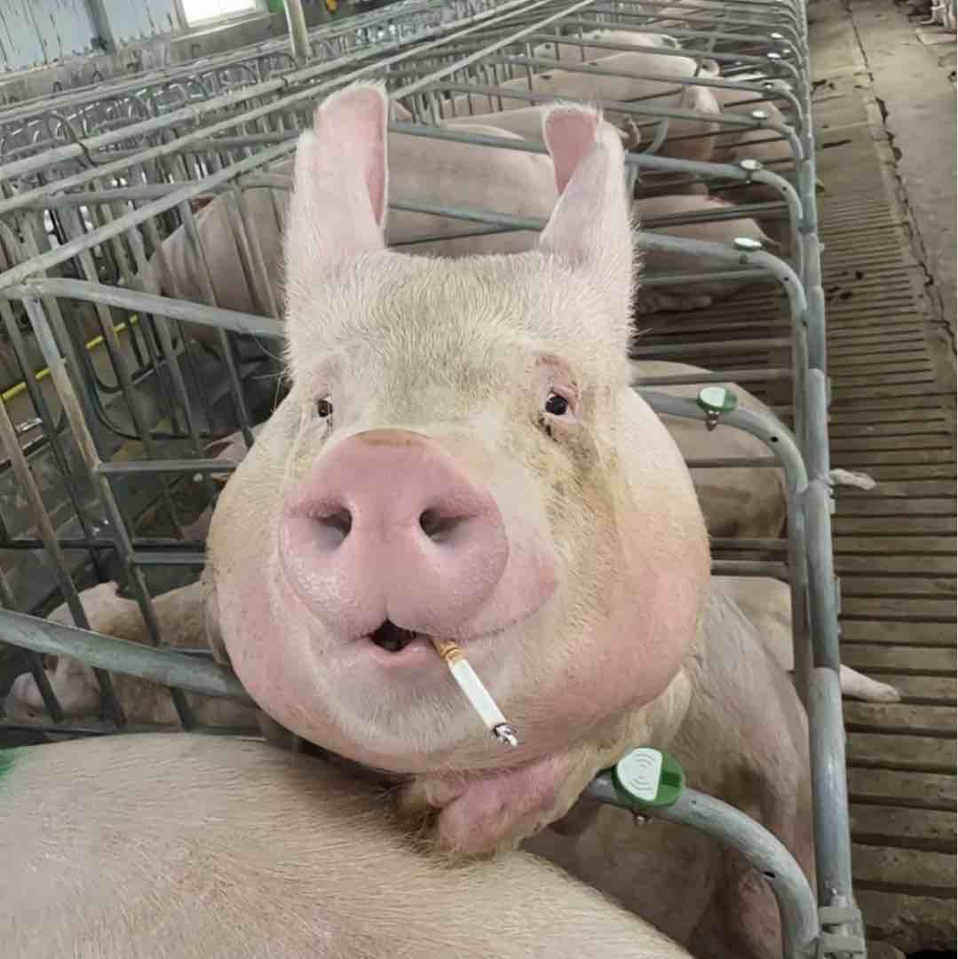 买我我秒发