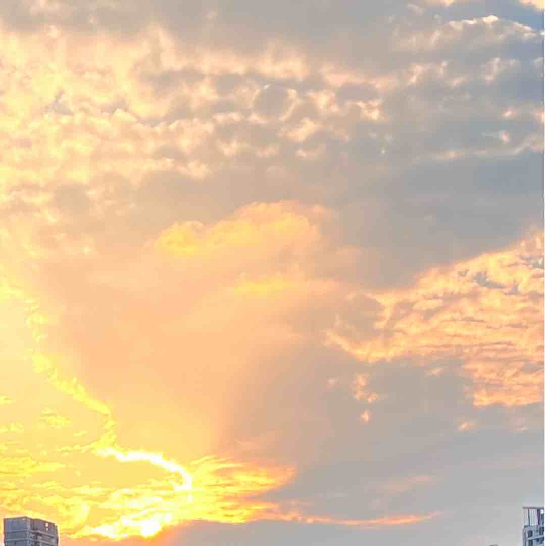 求购丢我发大财BD91