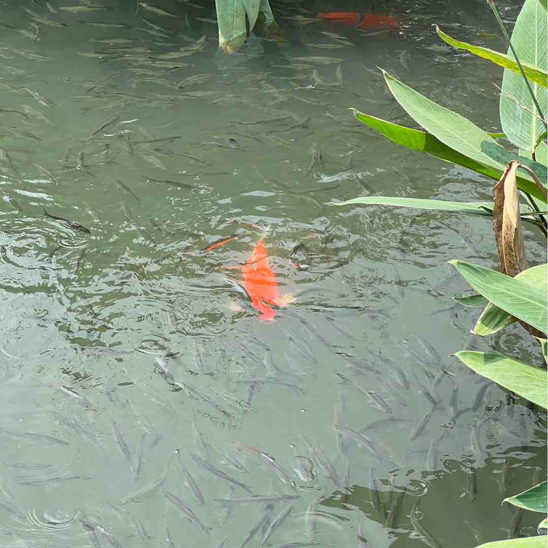 东京灬暗鸦