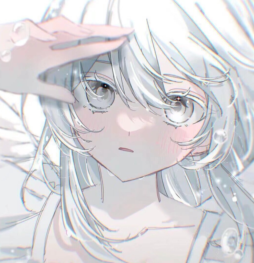 不会隐身的泽拉图