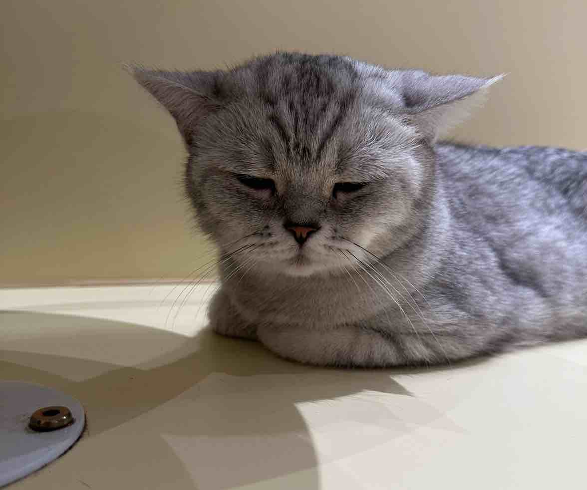 撤回老冯飞飞飞