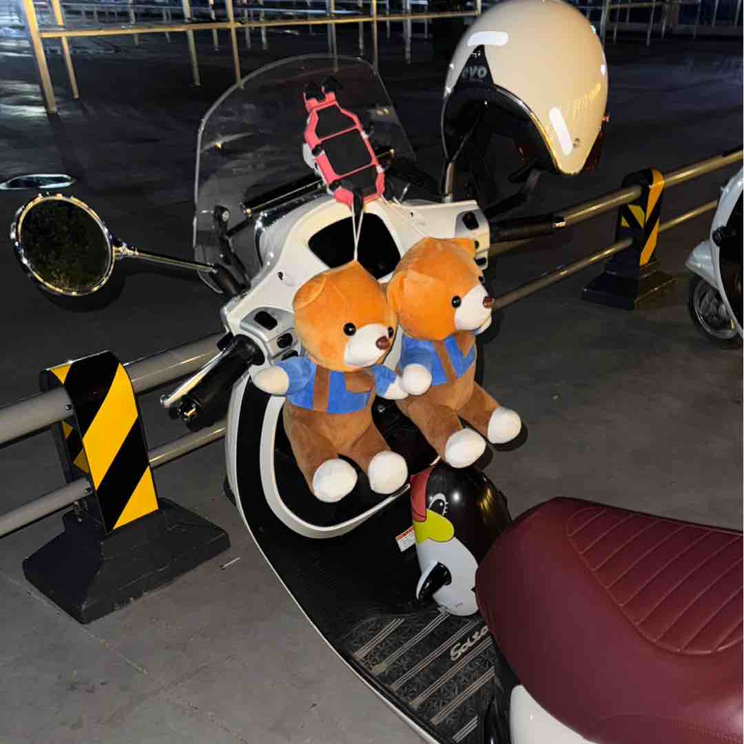 白给大师张先生