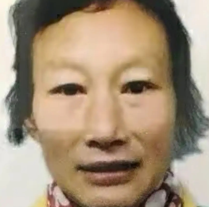 义父买我吧求你了