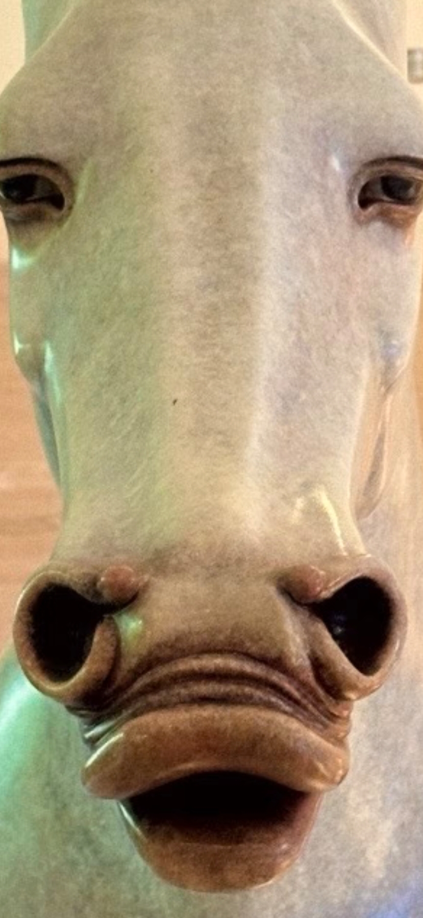 现在正是抄底的好机会