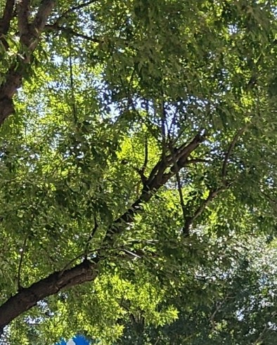 全天自动收发货