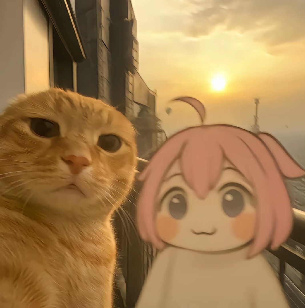 哈基米南北绿豆