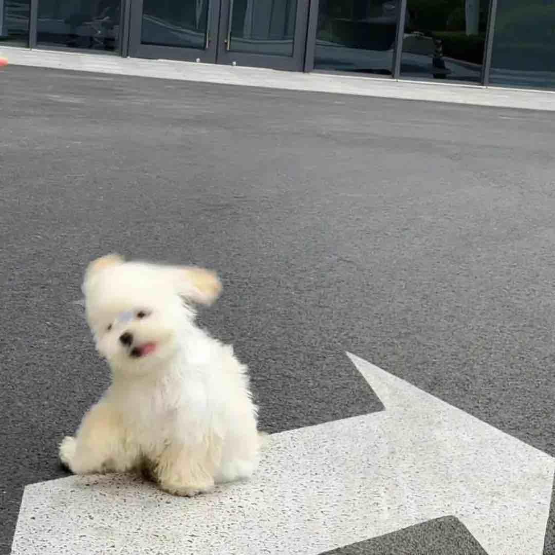 极速秒收发全天在