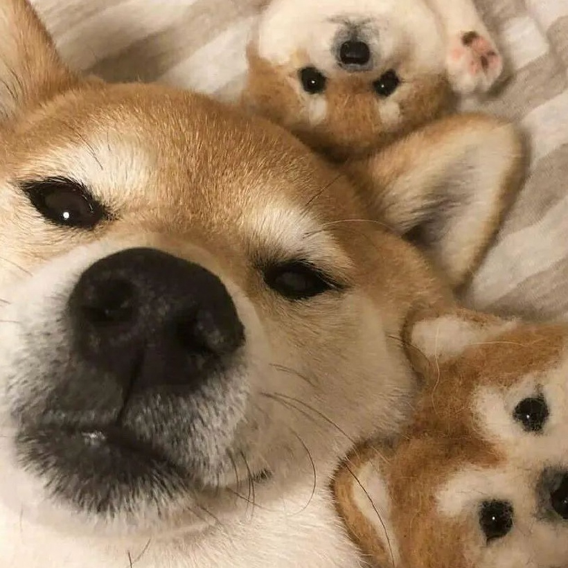 玩家1449556188378169344