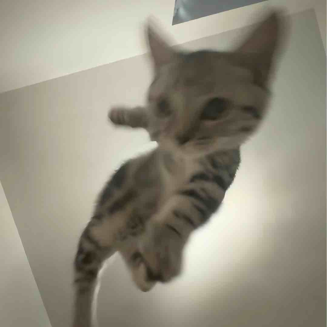 不爱人妻曹孟德