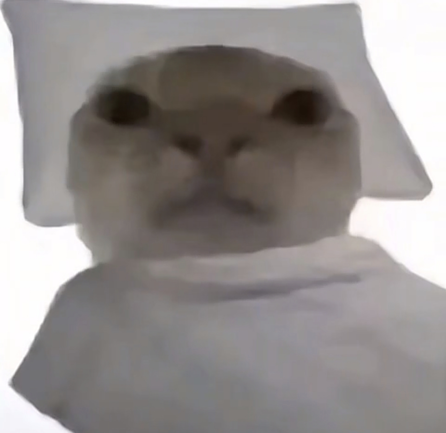 玩家1318407466791288832