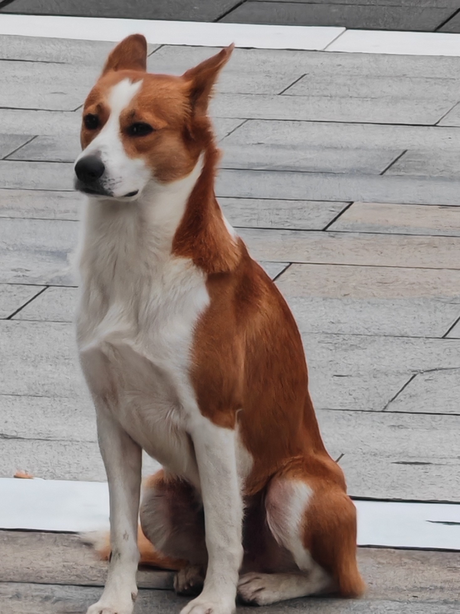 传家宝贱卖秒到