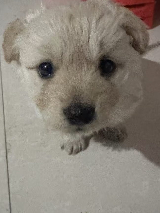 秒发货不撤回诚信做人