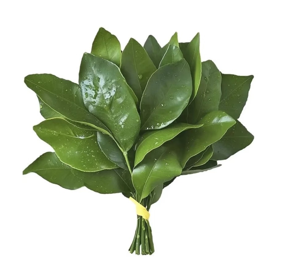 玩家1441427212064514048