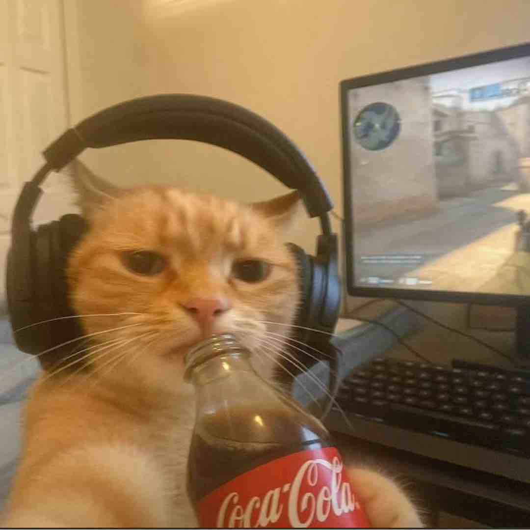 玩家1408417290037833728