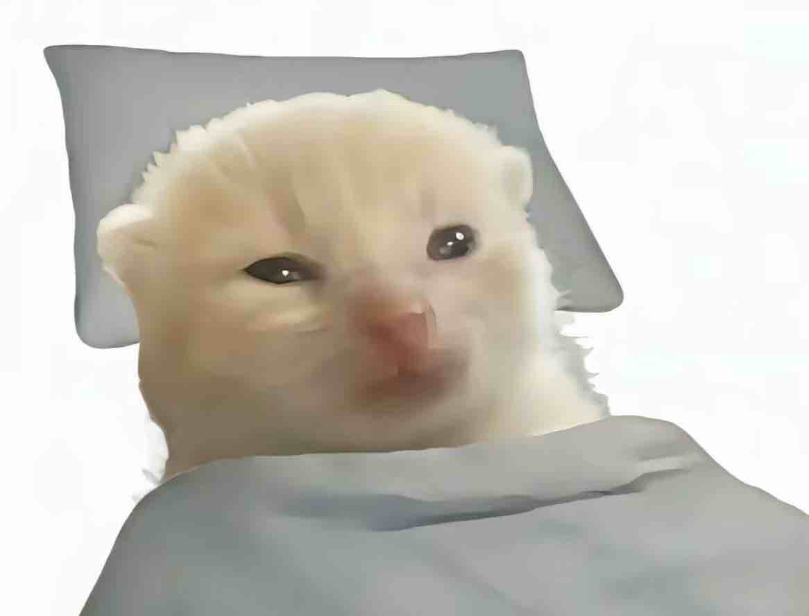 最后的上车机会