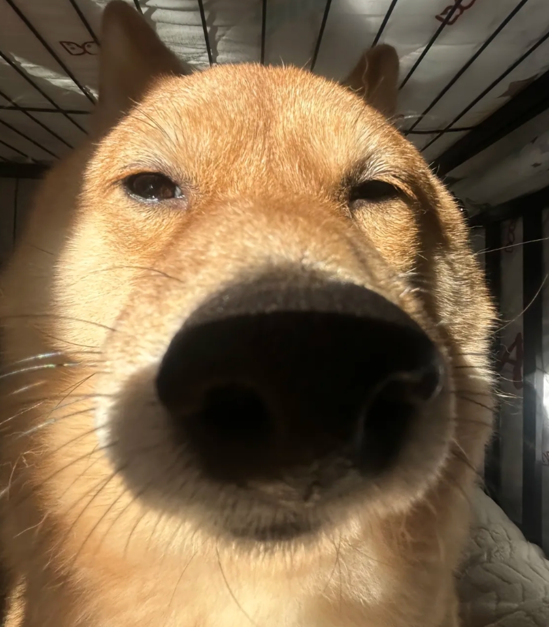 相见时难别亦难