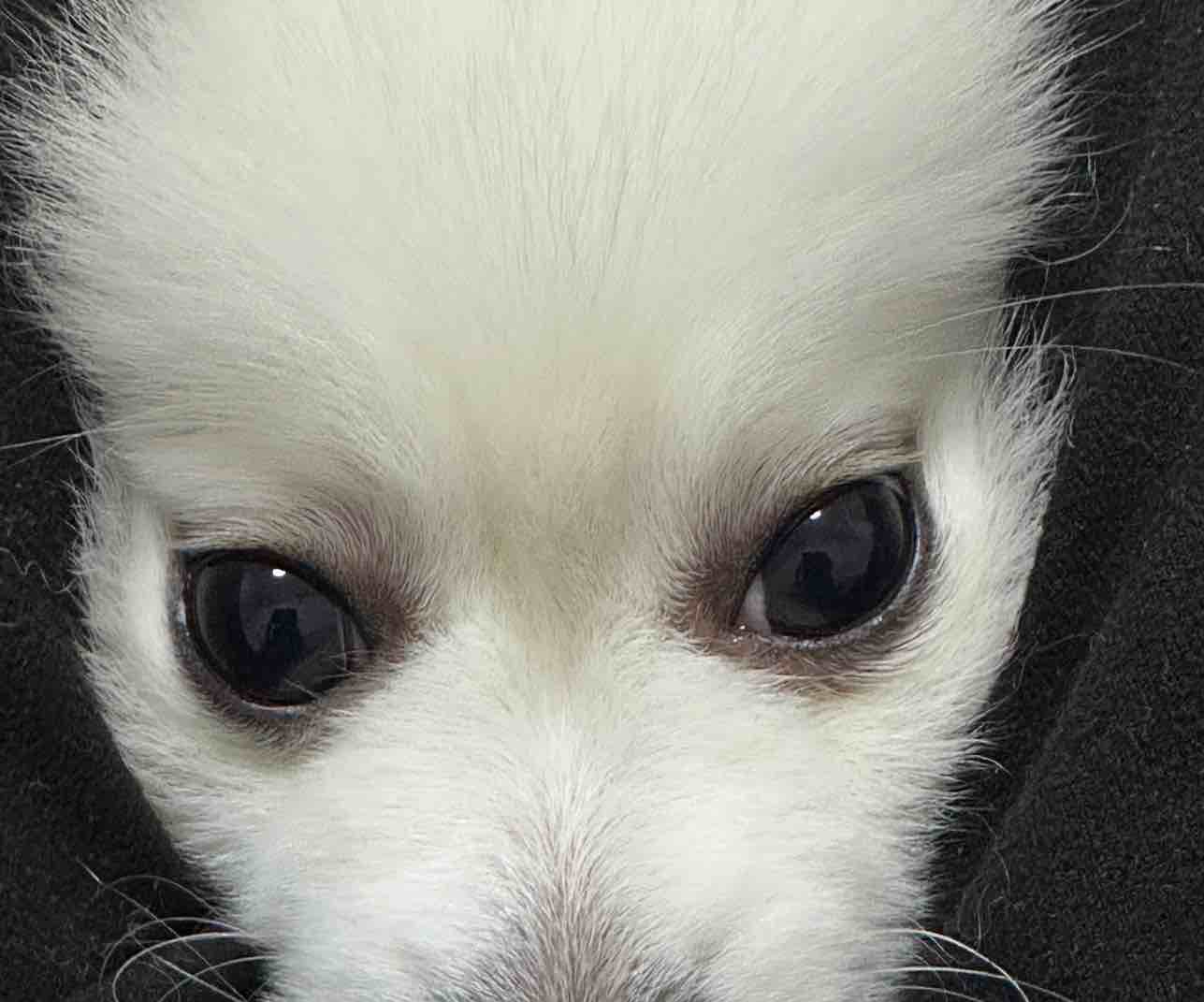 玩家1404780938721501184