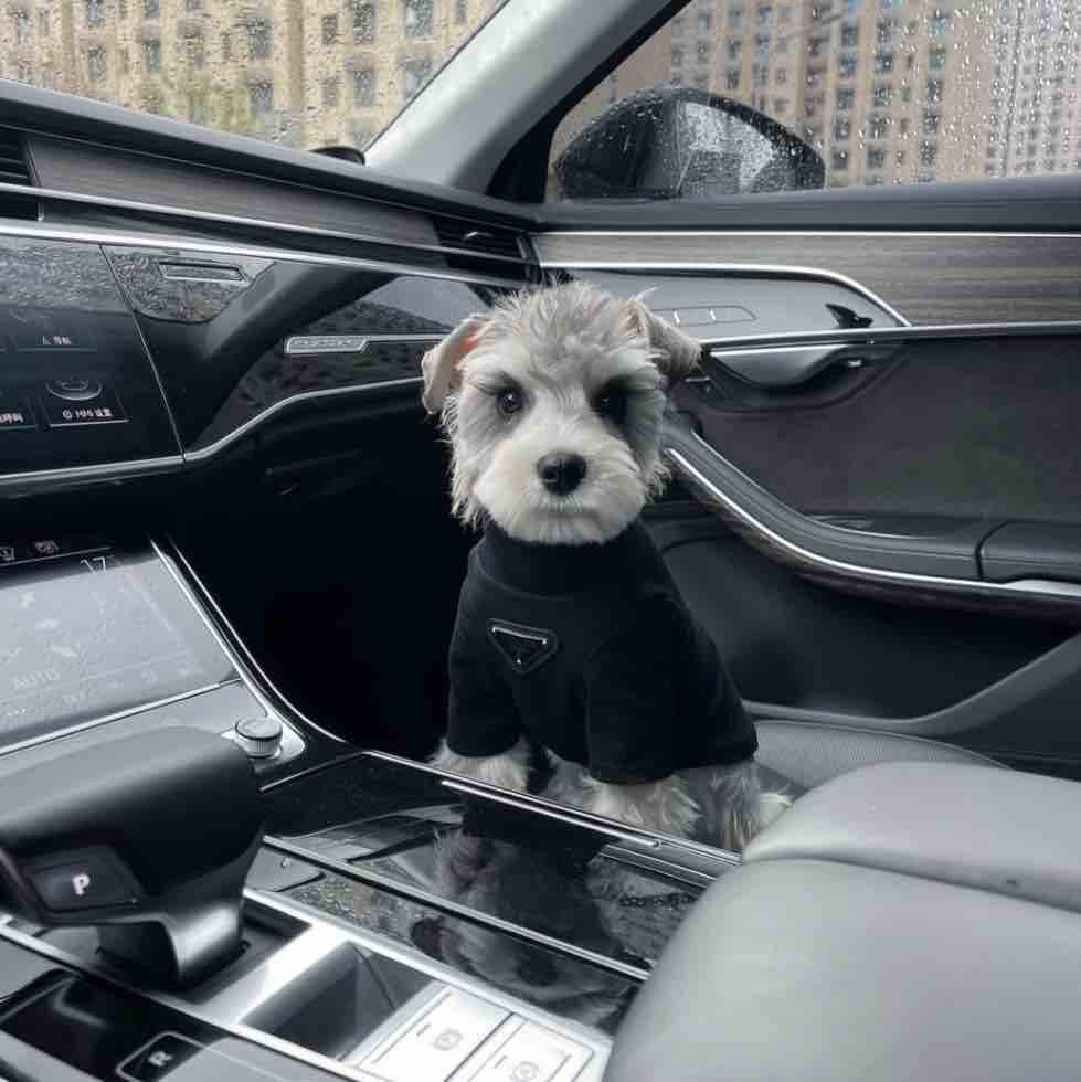 玩家1465596271013171200