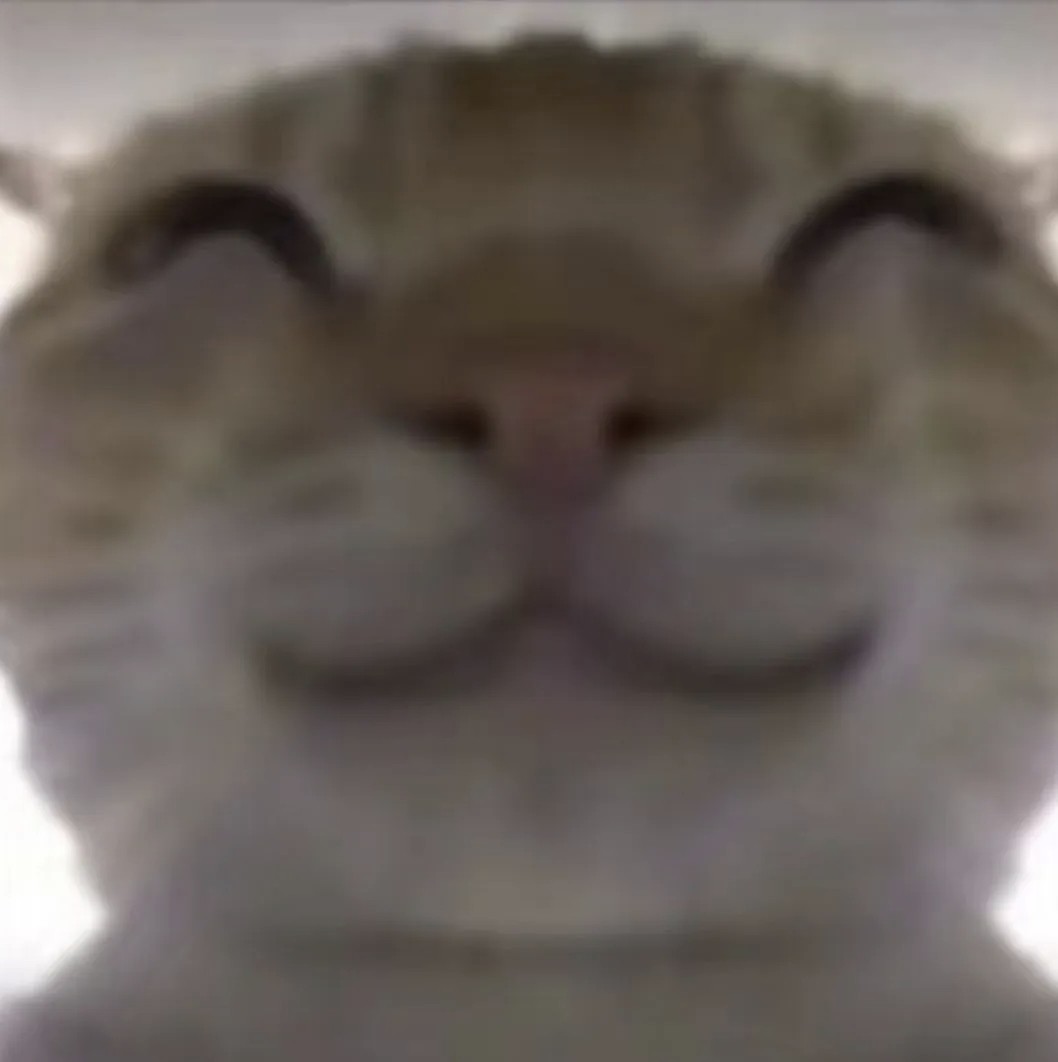 改名来短信啊啊啊啊啊啊