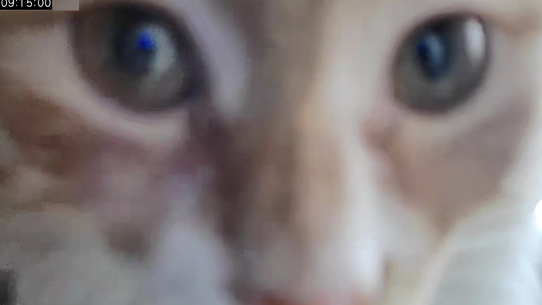 大哥到期白玩求转租