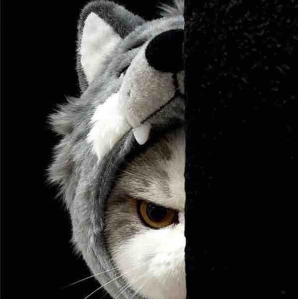 这个人发货比较快