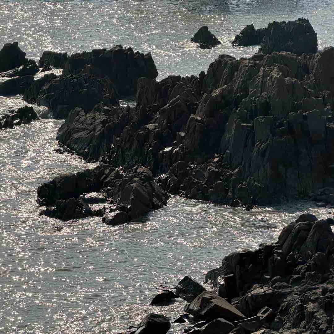 晚安玩具店秒收发