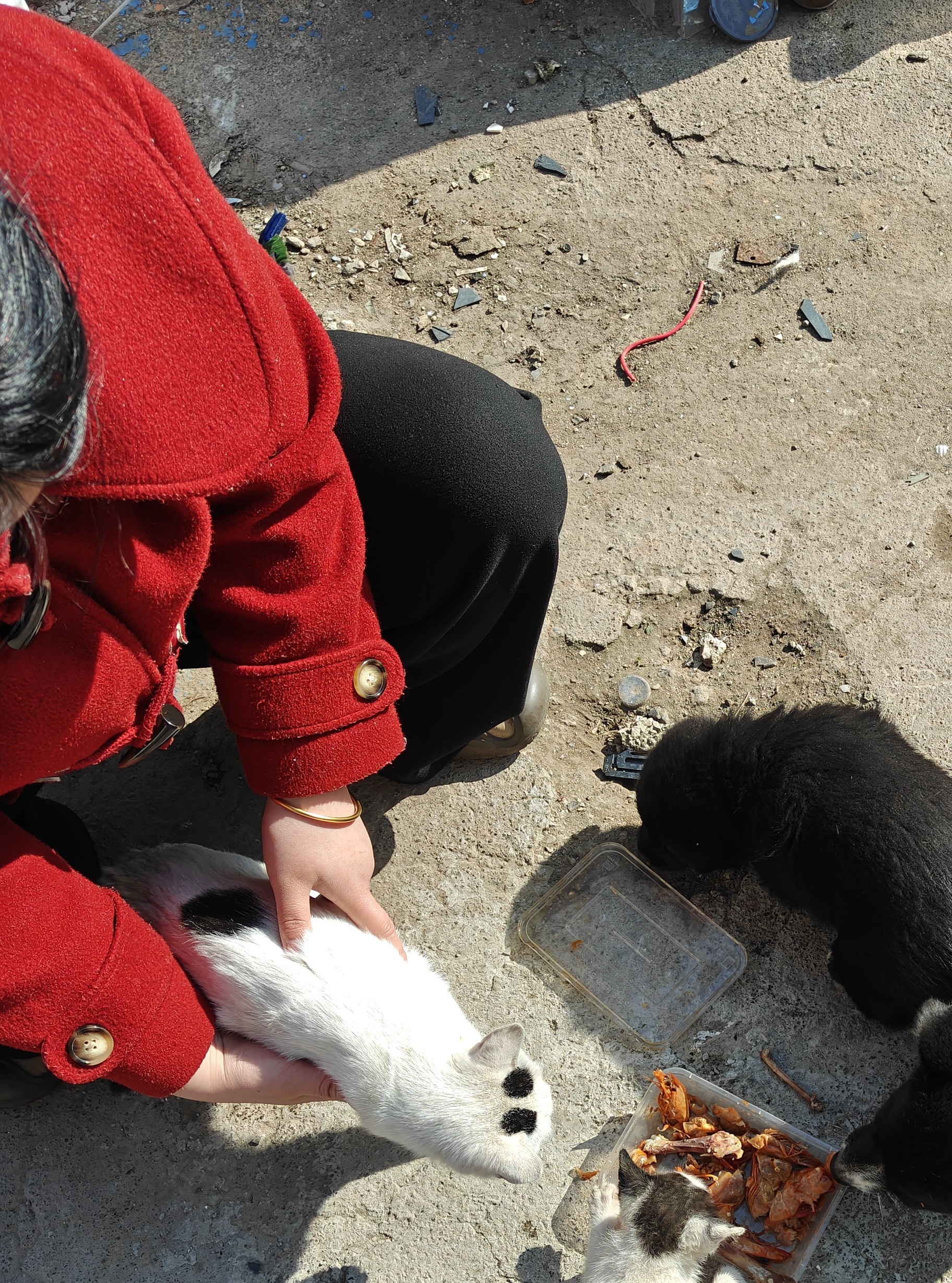 世间犹有陈平安