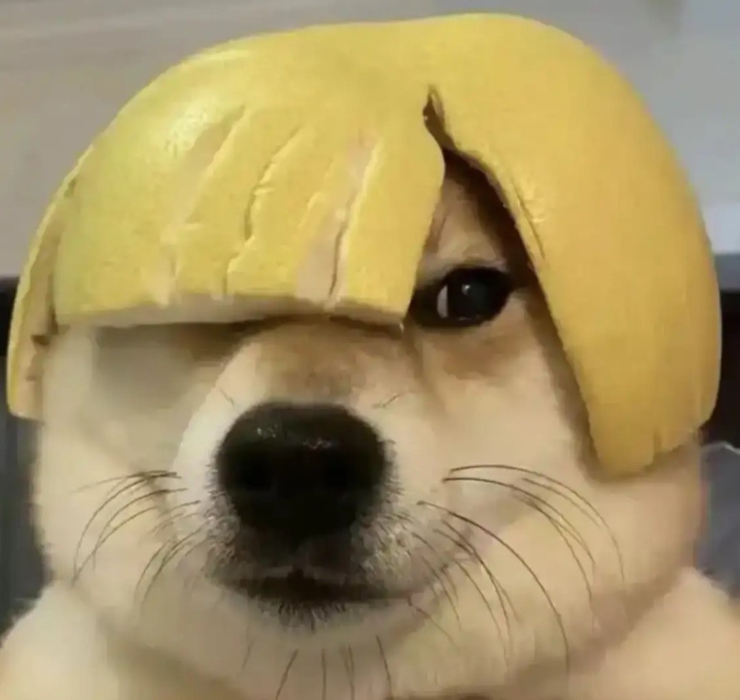 秒收发诚信店铺