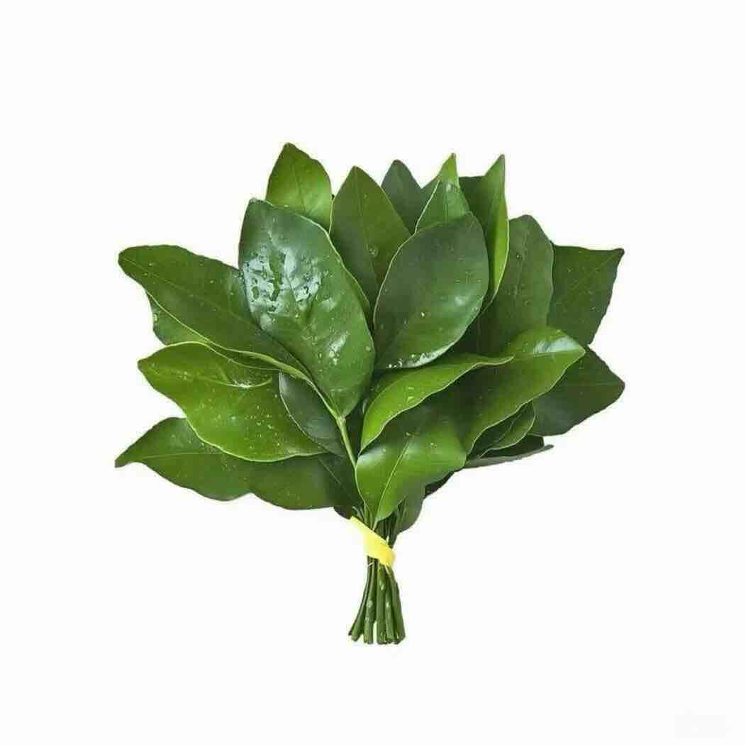 嘟嘟嘟嘟嘟嘟嘟