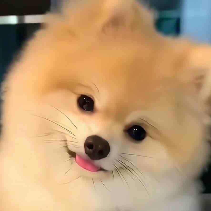 巴黎胶囊供应商