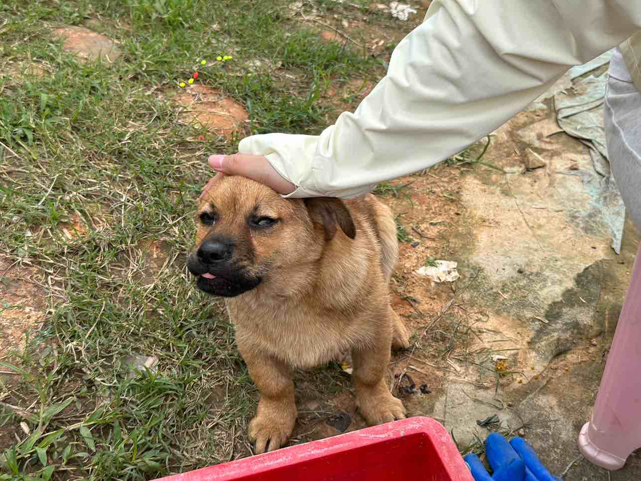 求求帅哥美女供供我
