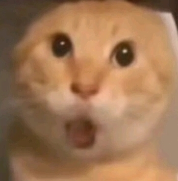 玩家1334009046482866176