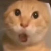 玩家1334009046482866176