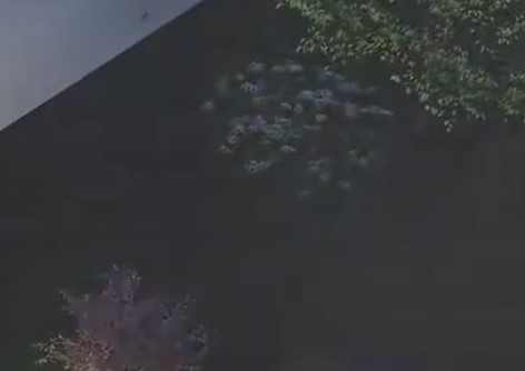 玩家1434336264472739840
