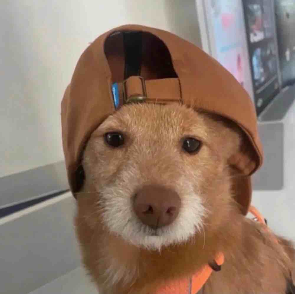 上海一号仓