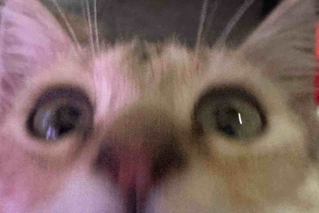 玩家1323887590394351616