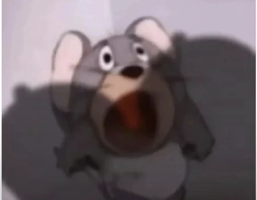 公开马赛
