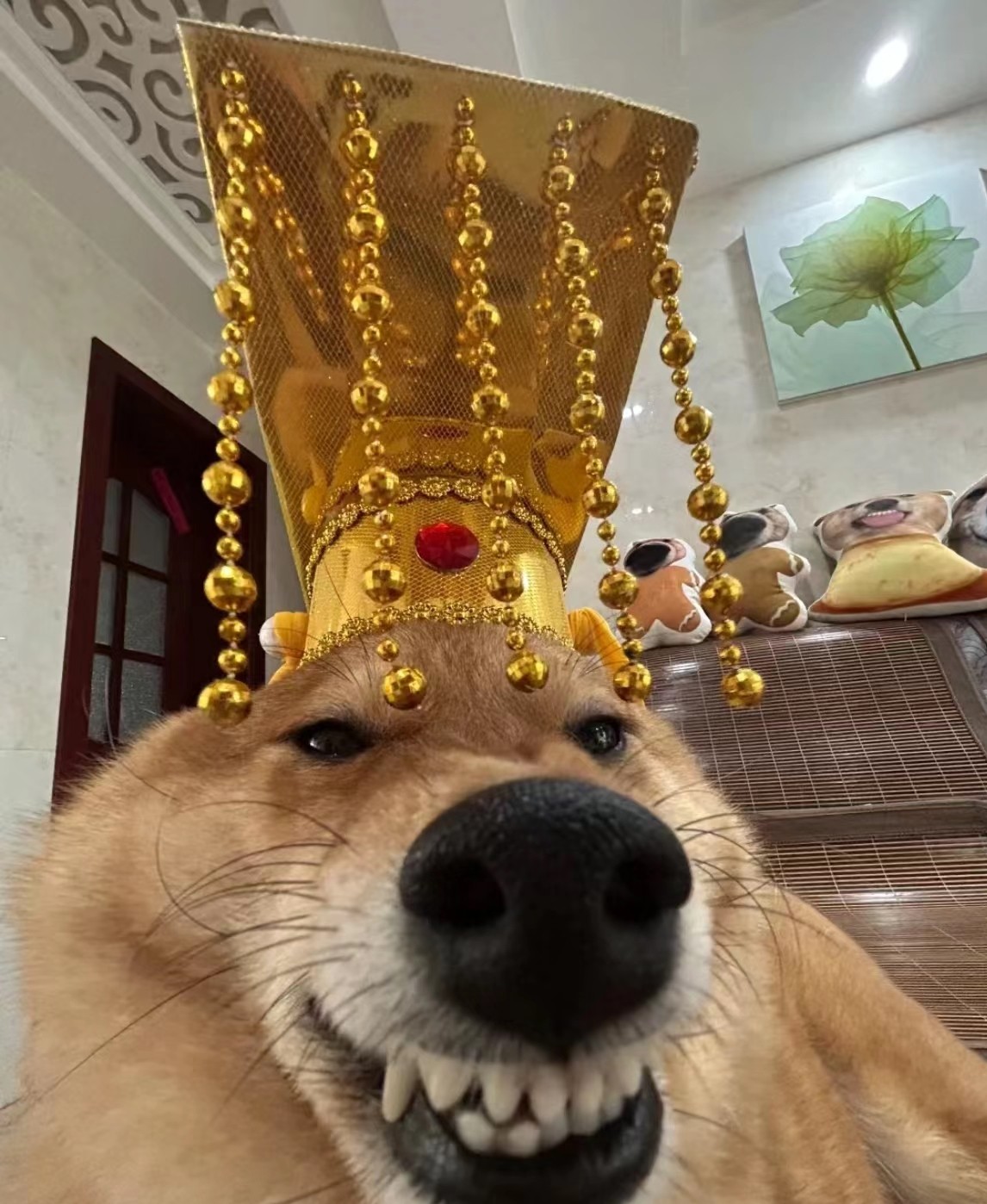永安卿酒酒