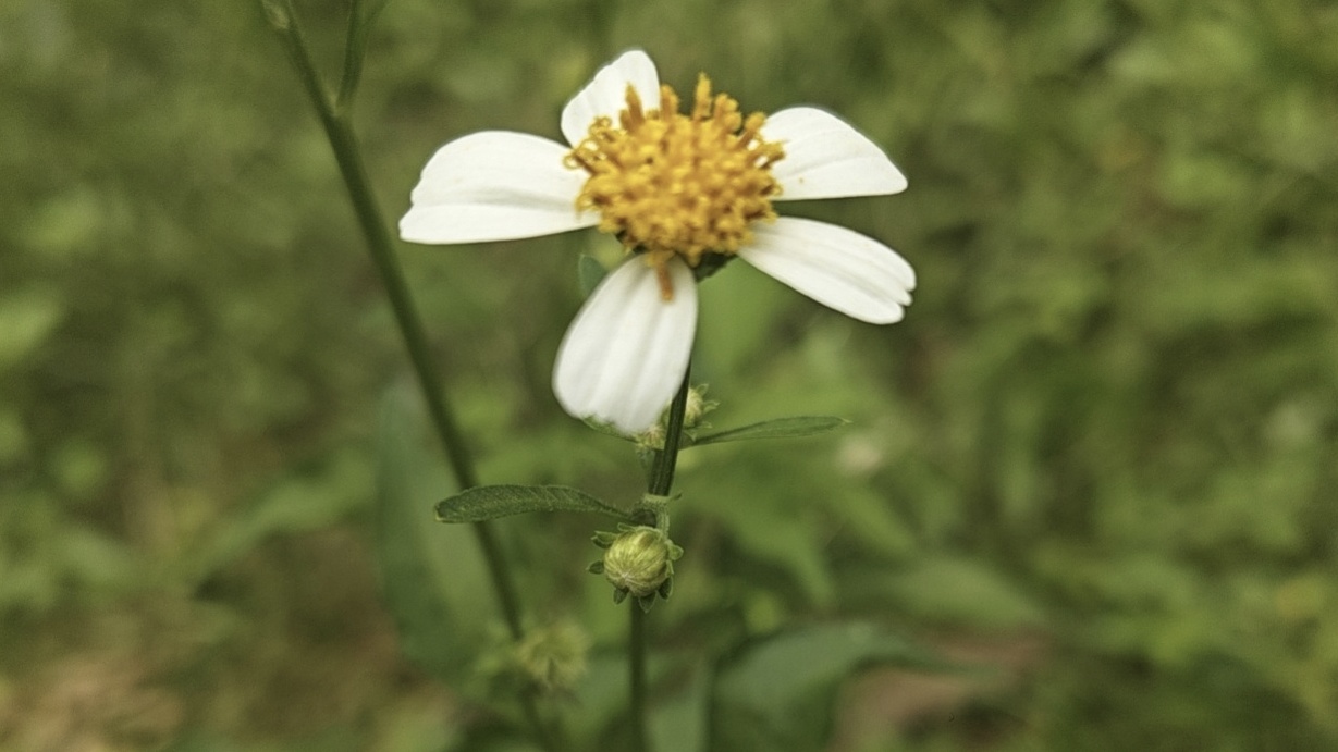 求求了给我中吧Zz