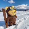 秒发秒收