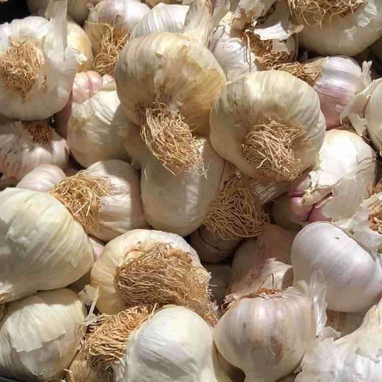 我已在江湖悠悠