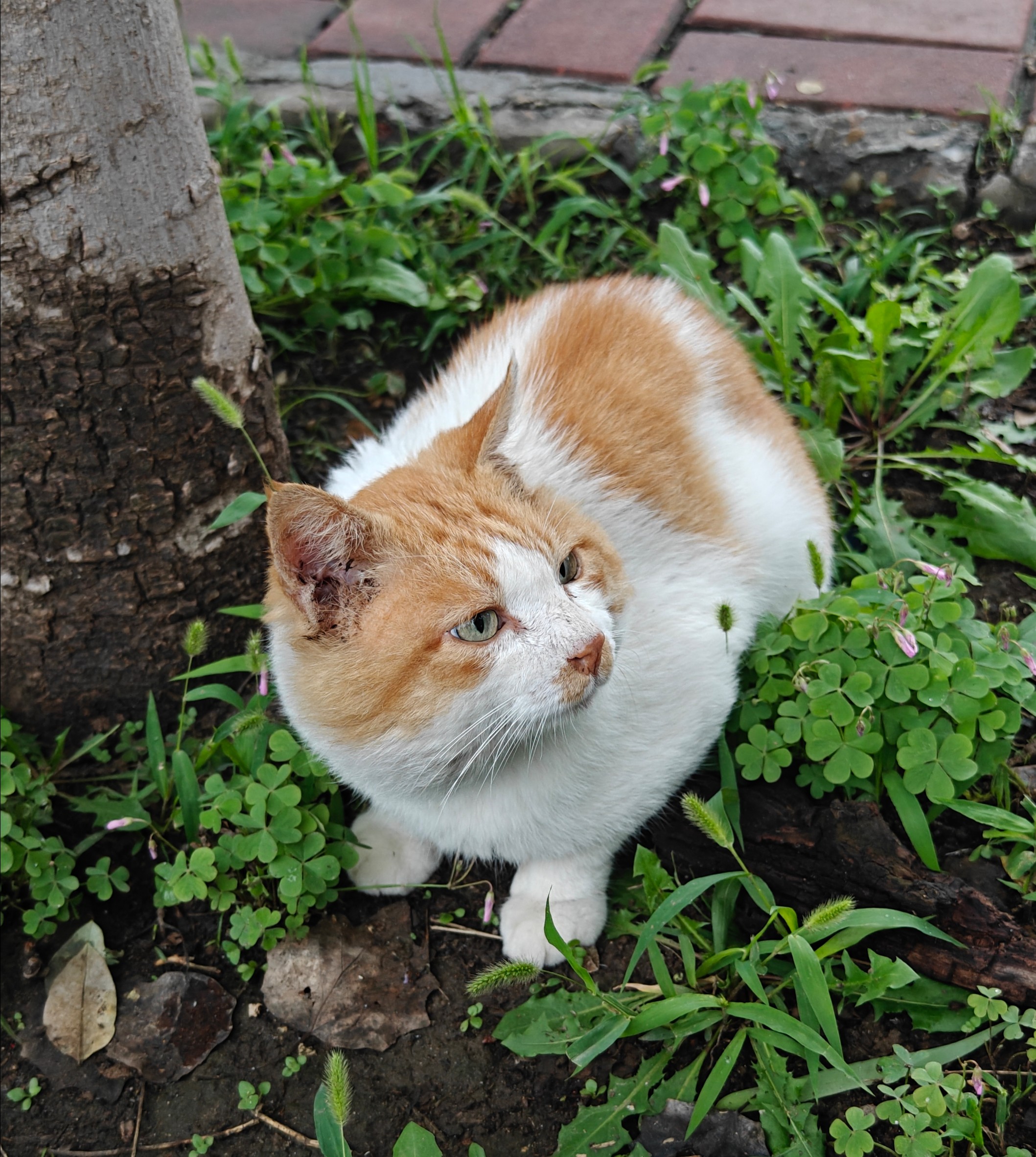我们无法只是普通朋友