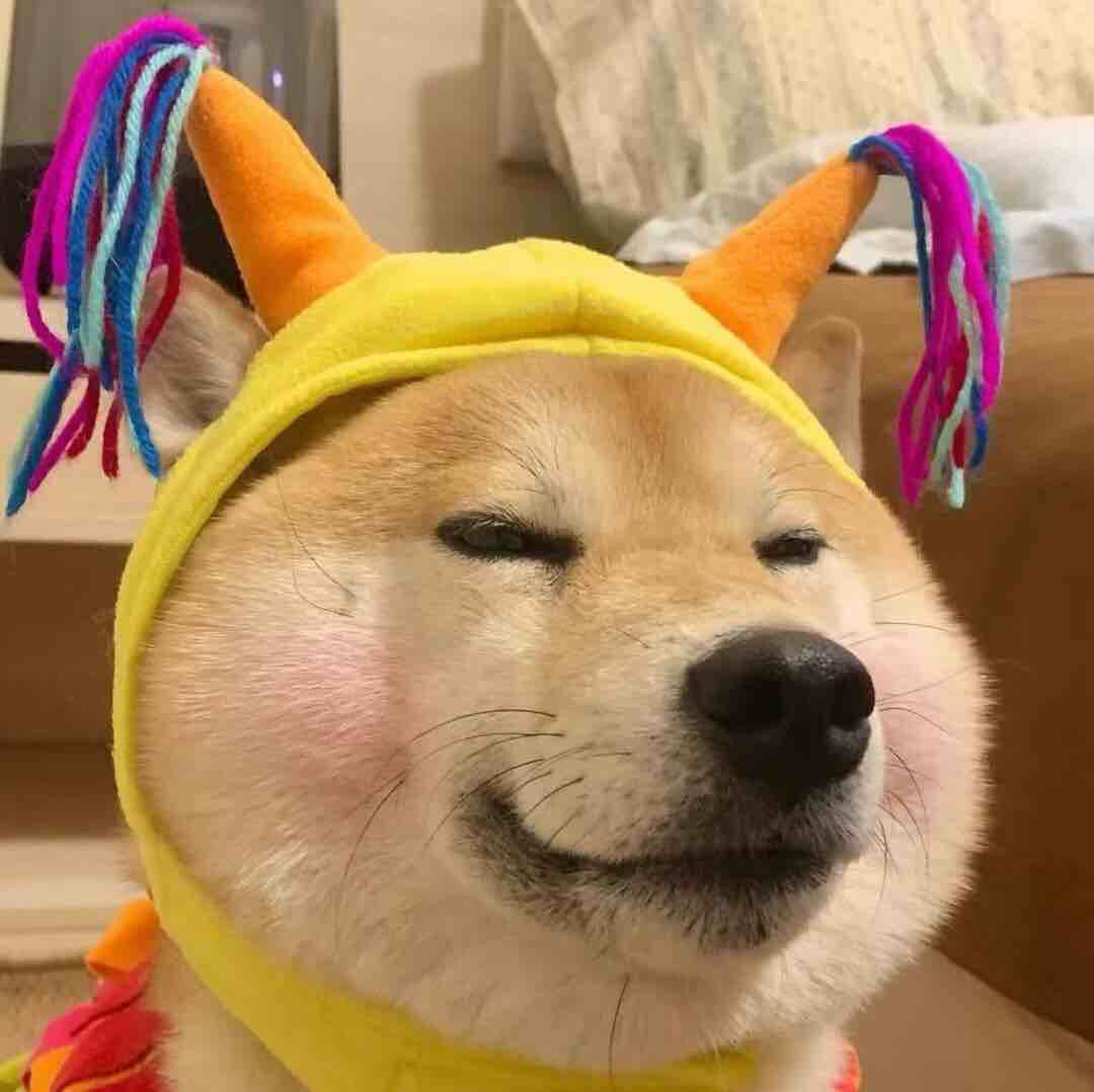 皮不卡球球